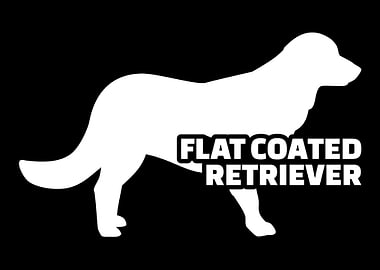 Flat Coated Retriever