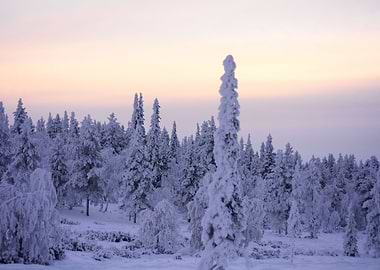 Lapland in winter