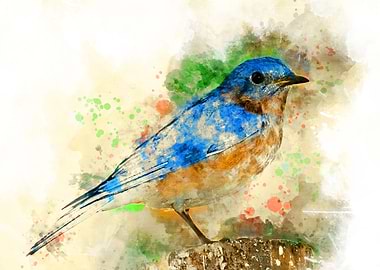 Bluebird