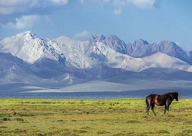 The horse and the mountain