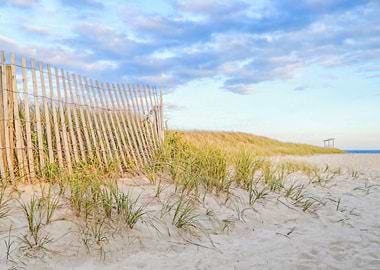 Seagull Beach Yarmouth Ca