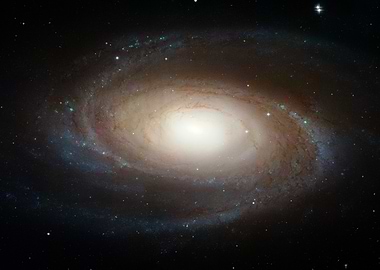 Spiral Galaxy M81