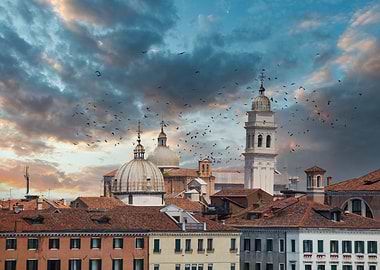 Domes on Venice Towers