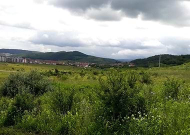 Field before the rain