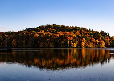 Fall forest at the lake