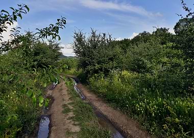 Trail after the rain