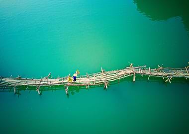 Carrying rice bundles home