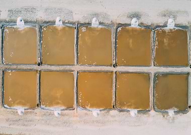 Marais Salant Ile de Re