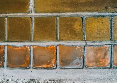 Marais Salant Ile de Re