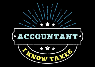 Funny Saying Accountant