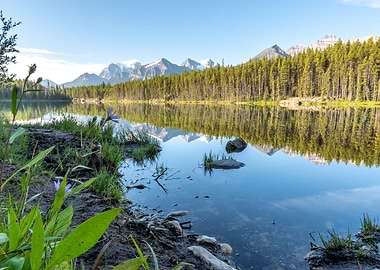 The perfect hidden spot