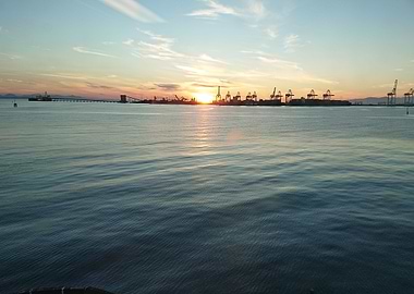 Sunset on a Flock of Crane