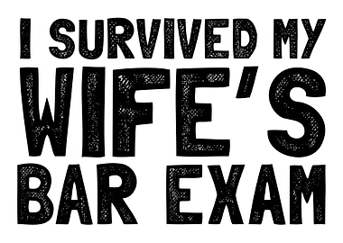 I survived my wifes bar e