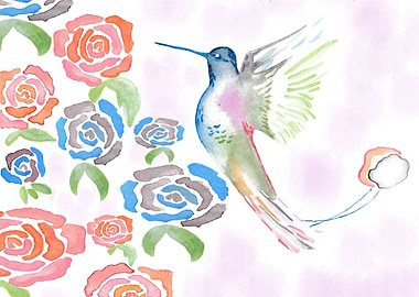 Ecuadorian hummingbird