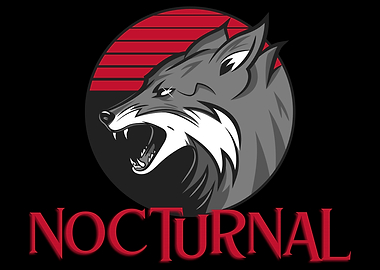 Nocturnal Fox