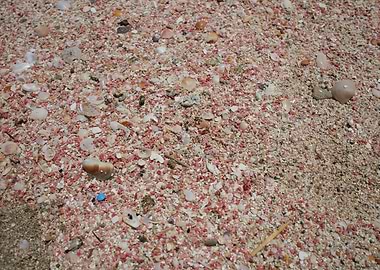 Red sand beach falassarna