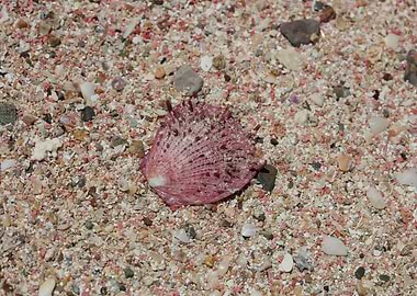 Red sand beach falassarna