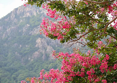 Mountains of South Korea