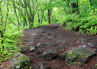 Goshizuma Park Trail