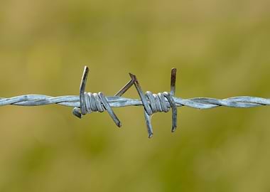 Barbed wire fence