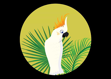 Parrot gift beautiful