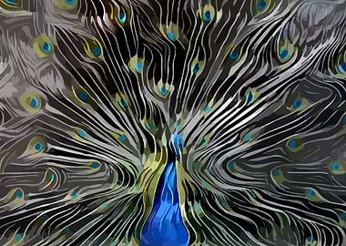 Peacock