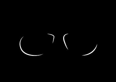 Grades Shades Summer Schoo