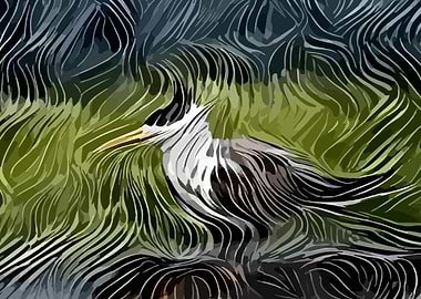 Crested Tern