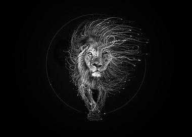 Lion Wires