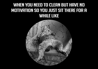 Cleaning Cat Lady Cleaner