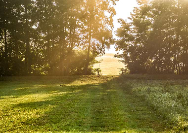 The Pathway To The Heavens