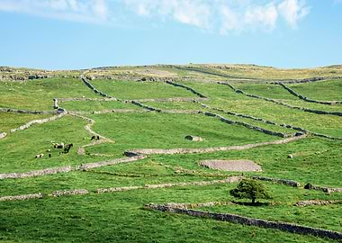 North Yorkshire Landscape