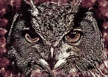 Owl Sharp Eyes Art