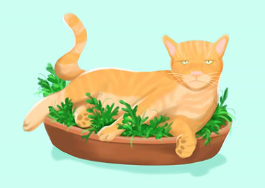 Cat in Pot