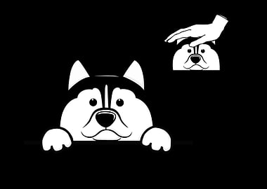 Siberian Husky Dog Owner