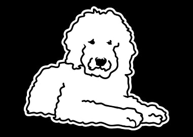 Goldendoodle