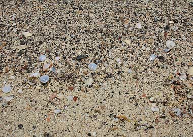 Kedrodasos beach creta