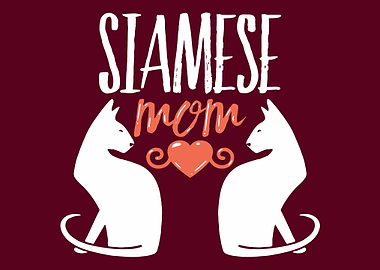 Siamese Mom Cat