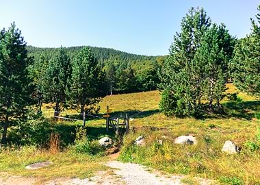 Beautiful green landscape
