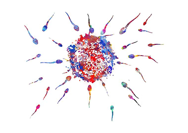 Sperms and eggs