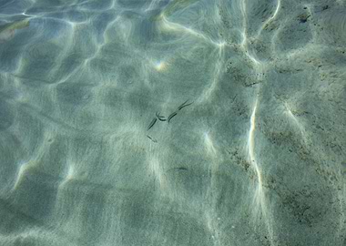 Kedrodasos beach crete