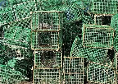 Lobster Catch Basket 01