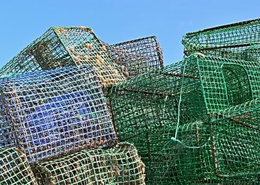 Colorful lobster catcher 2