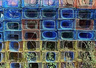 Colorful lobster catcher 3