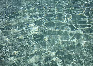 Kedrodasos Crete Greece