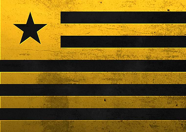 flag of Liberia books USA