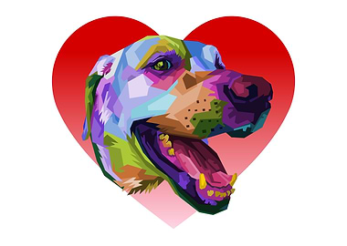 colorful labadror dog