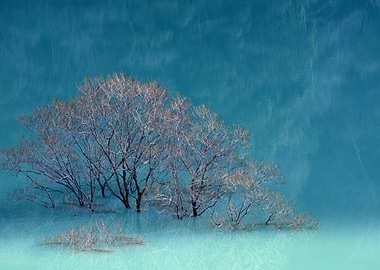 Blue Lake Reflection