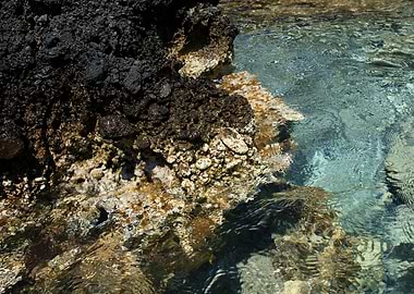 Kedrodasos beach creta