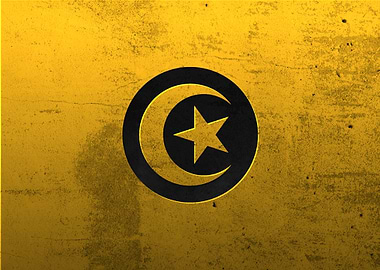 flag of Tunisia cityscapes